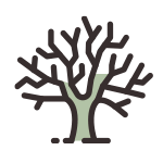 iconos proyectos investigacion formacion arbol elegin euskara zerbitzua